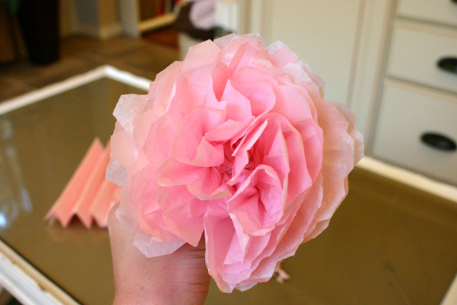 pink tissue paper peony flower