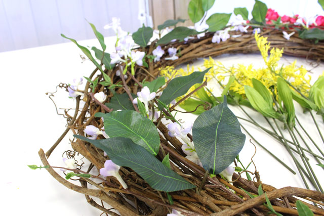 Ficus Leaves Spread Out on Grapevine Wreath