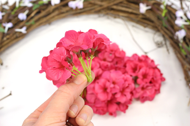 Geranium Buds Plucked from Stems