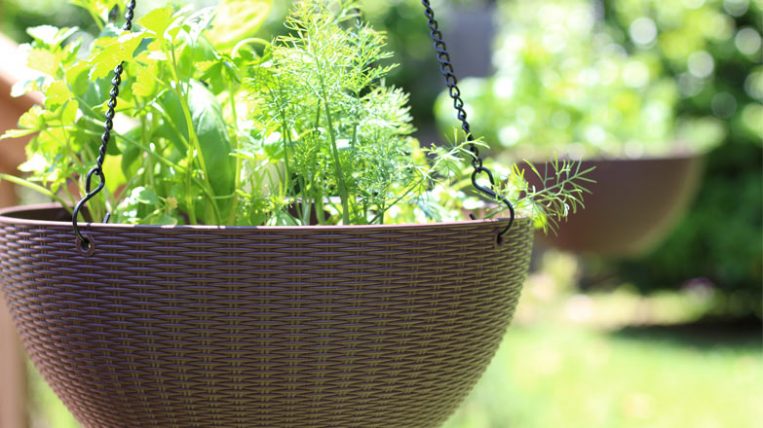 Hanging Herb Garden How To | Checking In With Chelsea