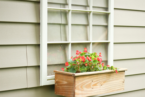 Red Begonias in Wood Planter Box Hanging on Window