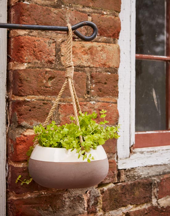 8 Inch Havana Hanging Planter from Southern Patio