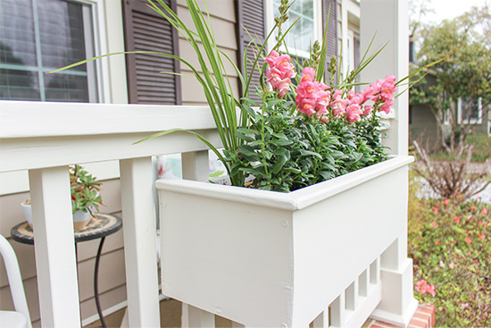 Pink Snapdragons in White Window Planter Box