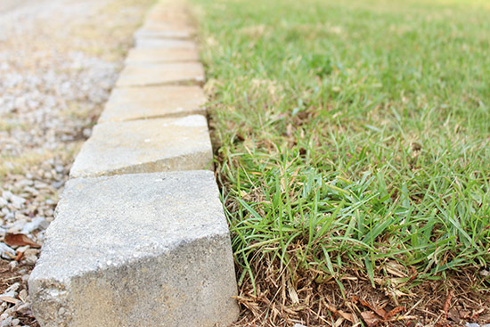 Centipede Green Grass Growing Behind Gray Retaining Wall