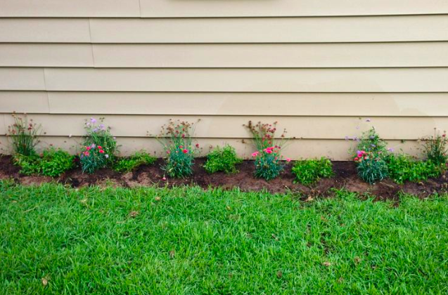 carnations and other flowering plants in new flower bed against vinyl siding