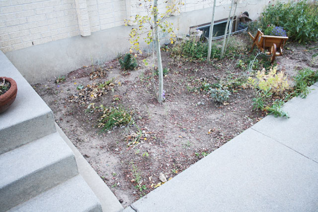 barren flower bed with dry soil next to concrete sidewalk and steps
