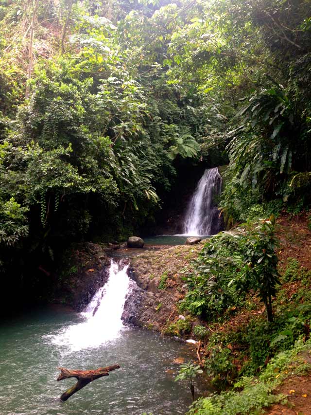 double waterfall in middle of rainforest on island of Grenada