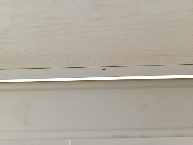 stop molding nailed in place above white window with primed 1x6