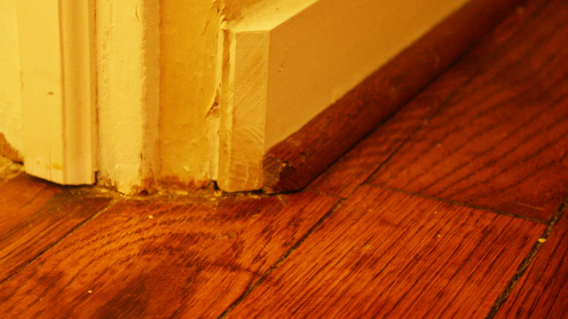 Stain Touched Up on Wood Shoe Molding