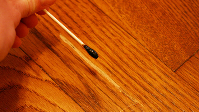 wood stain on white cotton swab touching up scratch in wood floor