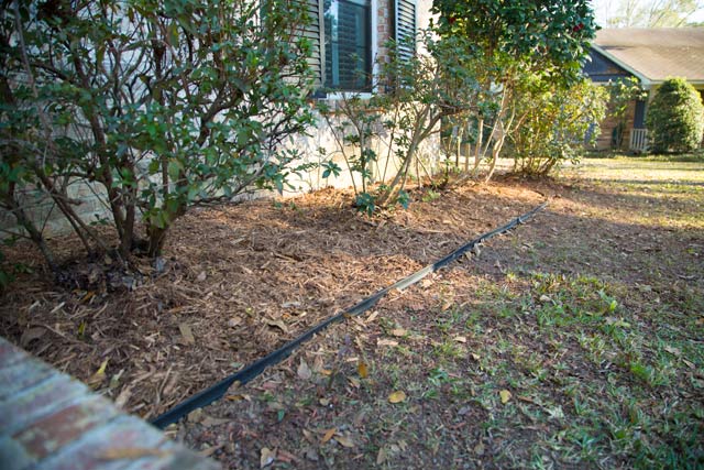 Front Bed After Cleanup and Edging