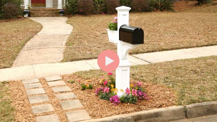 Planting a Mailbox Garden | Checking In With Chelsea