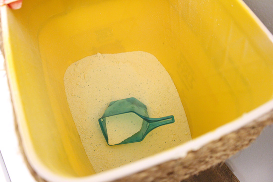 Laundry Detergent and Scoop Inside New Container