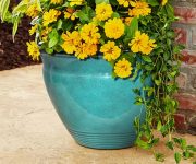 Convex Bell Planters from Southern Patio Giveaway