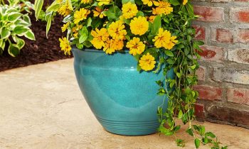 Convex Bell Planters from Southern Patio Giveaway
