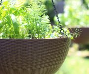 Hanging Herb Garden How To