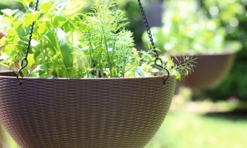 Hanging Herb Garden How To