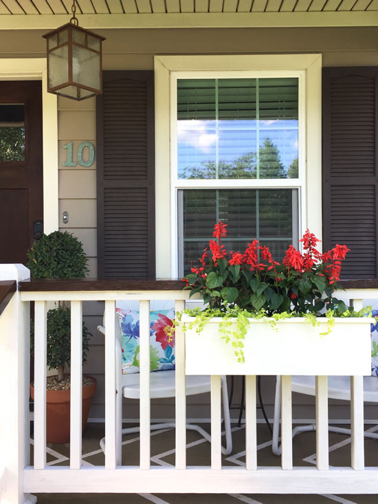 Red Salvias and Creeping Jenny in Window Planter Box on White Porch Handrails