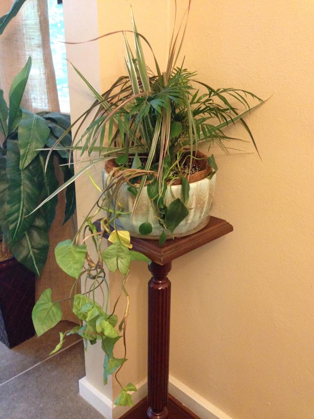 blue planter on plant stand in yellow room with green plant