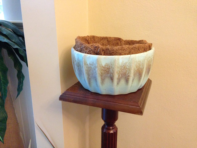coco liner sitting in blue flower pot planter on plant stand