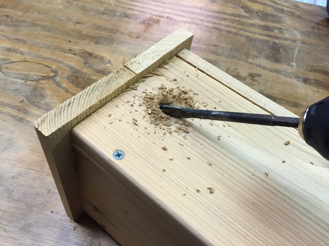 drilling 1/2 inch hole in cedar carpenter bee trap