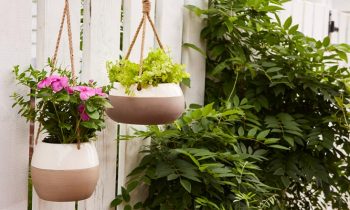 Mother's Day Giveaway Hanging Planters from Southern Patio