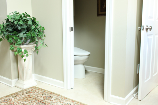 White Toilet in Water Closet in Master Bathroom