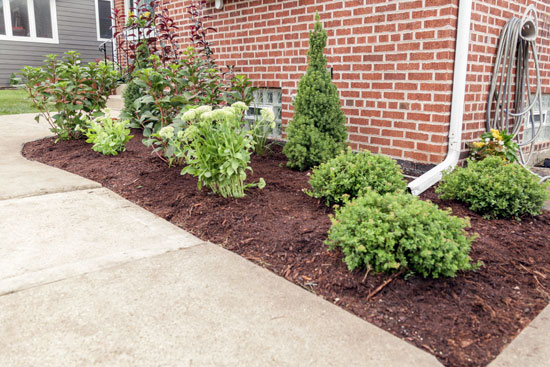 Flower Bed Along Front Walkway with Fresh Mulch