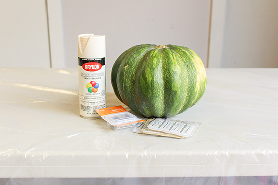 Real Pumpkins Gourd with Spray Paint and Sequins