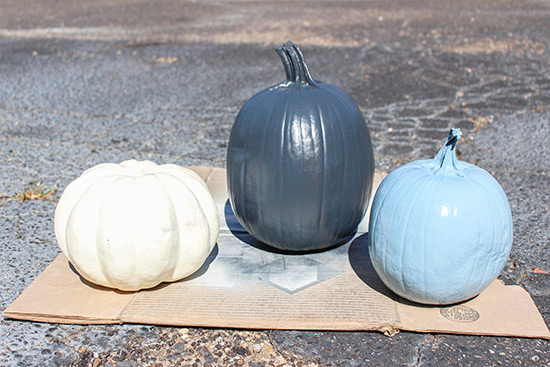 Real Pumpkins After Spray Painting for Uniform Look