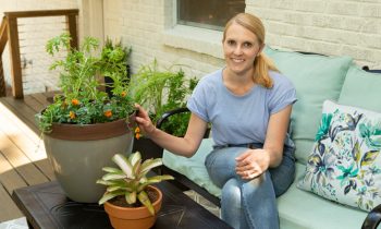 Chelsea Lipford Wolf on Deck with Small Bug-Repellent Container Garden