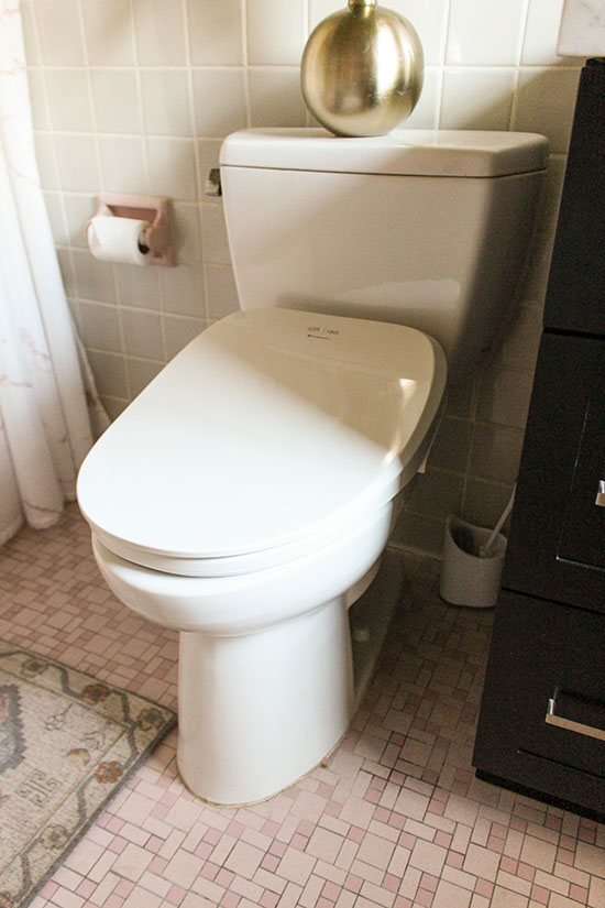 White Toilet with Bidet Toilet Seat Fluidmaster Soft Spa